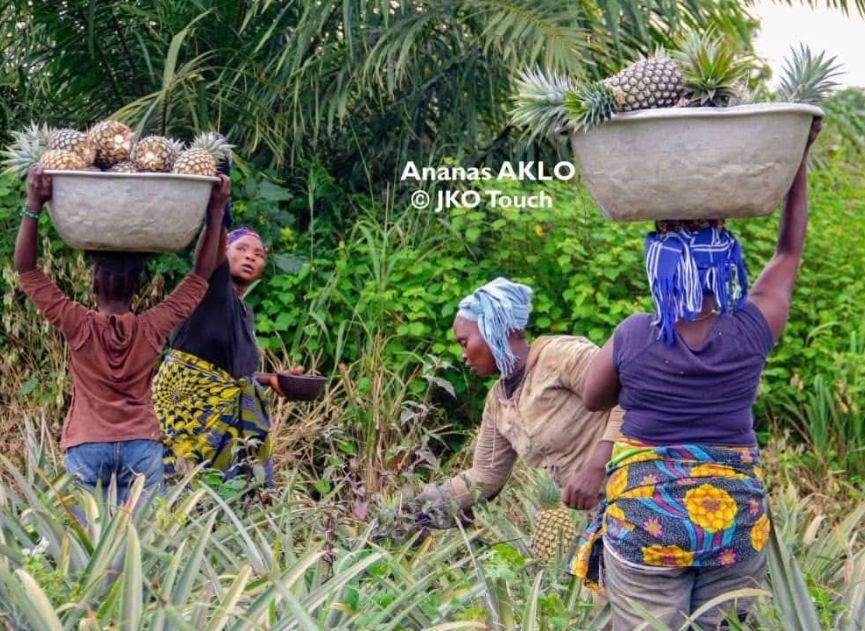 Plateforme Aklo House - Interface agrobusiness et événementiel au Bénin