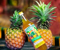 Agriculture moderne et durable au Bénin