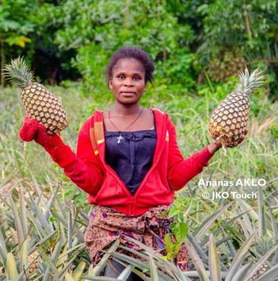 Agrobusiness au Bénin - Aklo House accompagne les agriculteurs